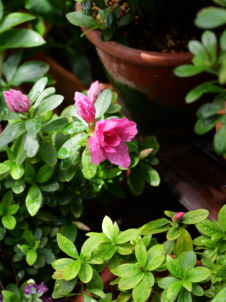 2025-03-28 12_09№(0298).JPG