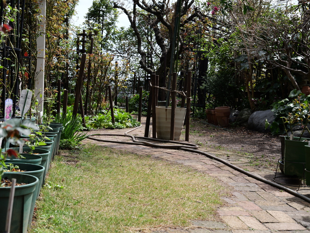 2025-03-28 12_10№(0311).JPG