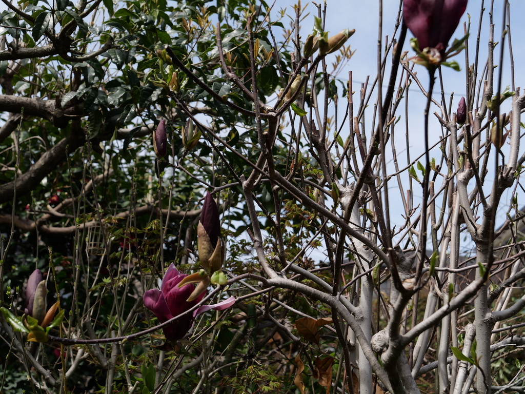 2025-03-28 12_11№(0331).JPG