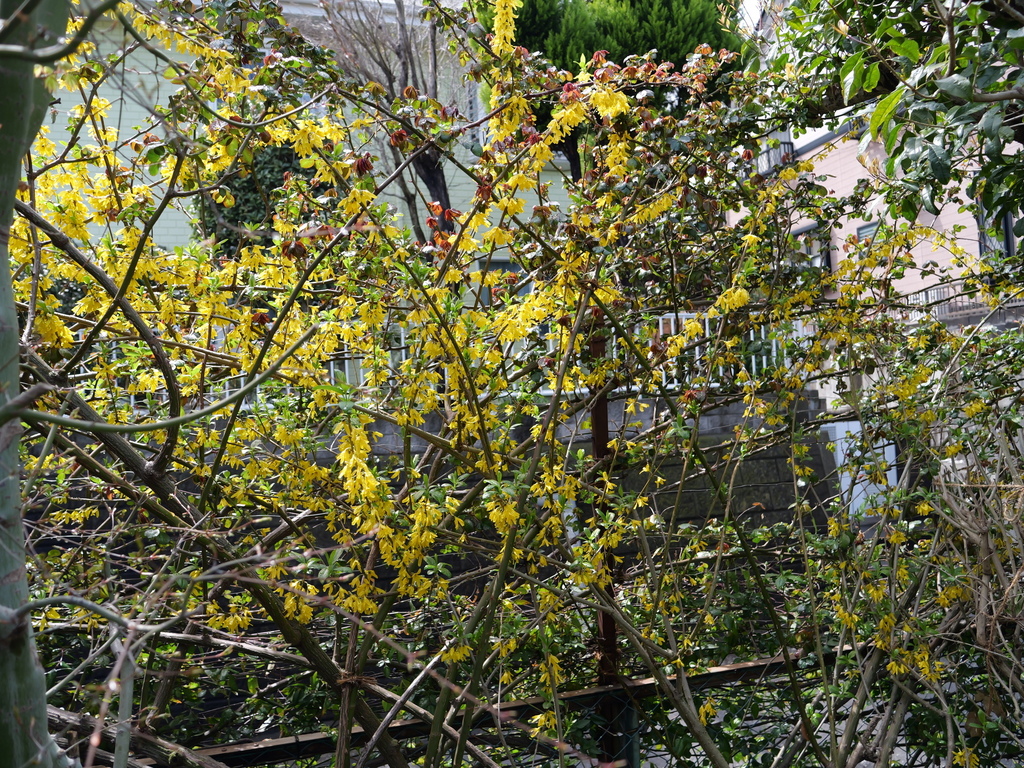 2025-03-28 12_11№(0333).JPG
