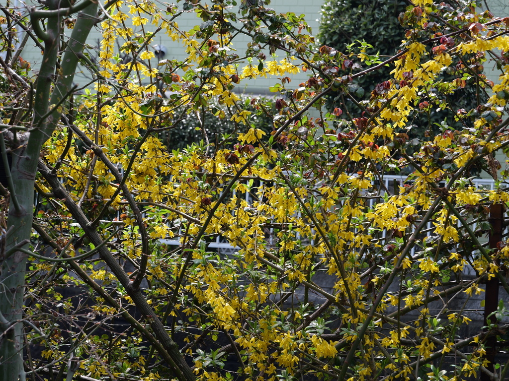 2025-03-28 12_11№(0337).JPG