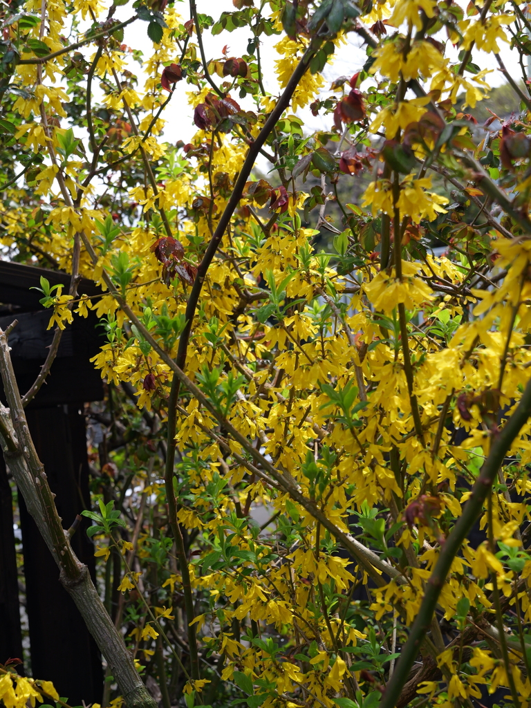2025-03-28 12_11№(0340).JPG