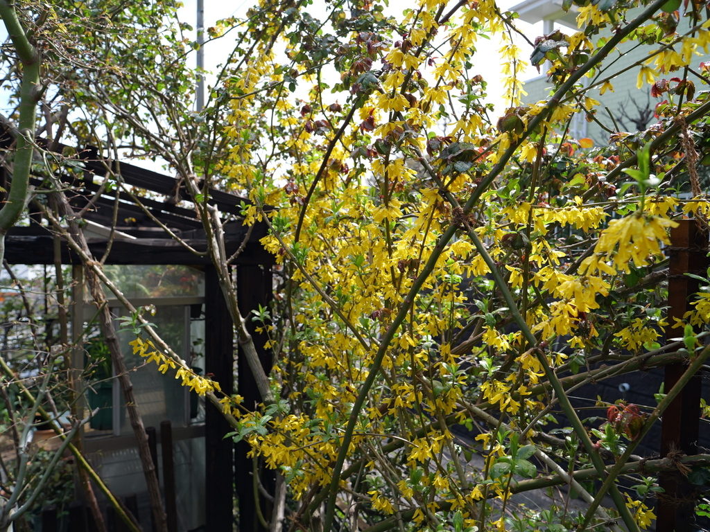 2025-03-28 12_11№(0343).JPG