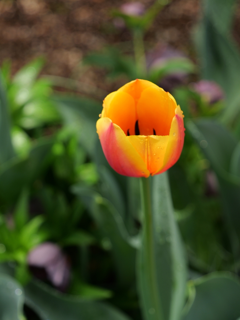 2025-03-28 12_12№(0354).JPG