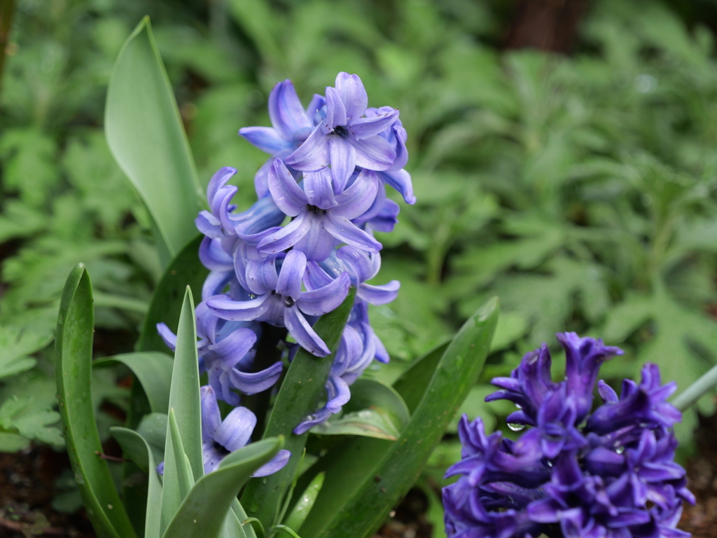 2025-03-28 12_13№(0373).JPG
