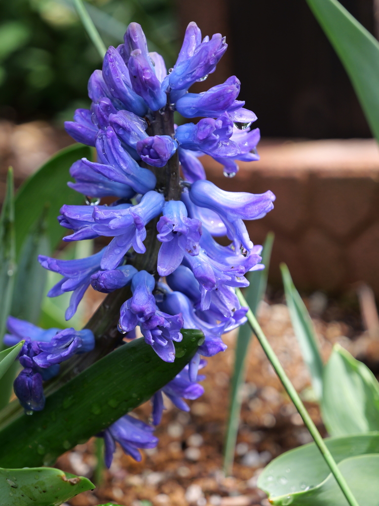 2025-03-28 12_13№(0375).JPG