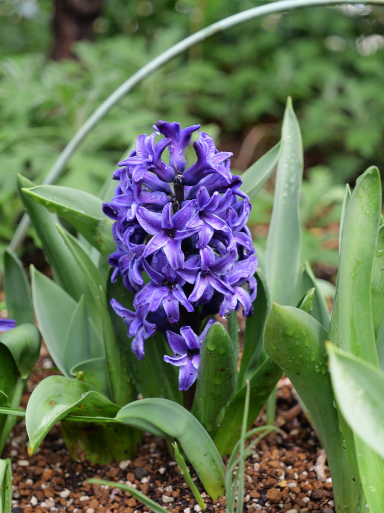 2025-03-28 12_13№(0377).JPG