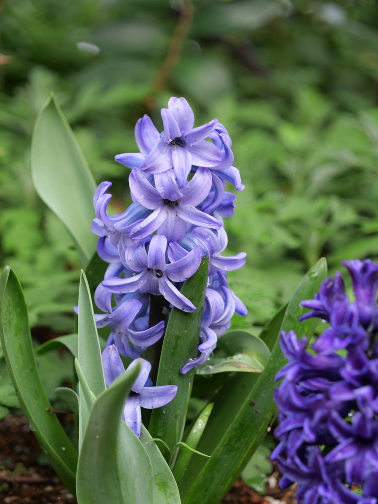2025-03-28 12_13№(0379).JPG