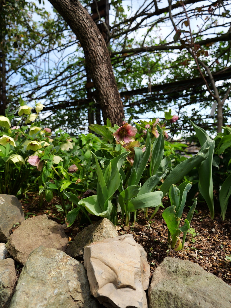 2025-03-28 12_13№(0385).JPG