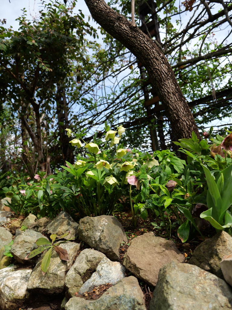 2025-03-28 12_13№(0386).JPG
