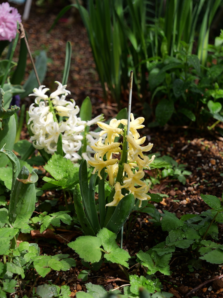 2025-03-28 12_14№(0401).JPG