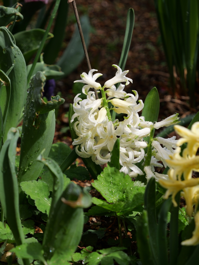2025-03-28 12_14№(0402).JPG