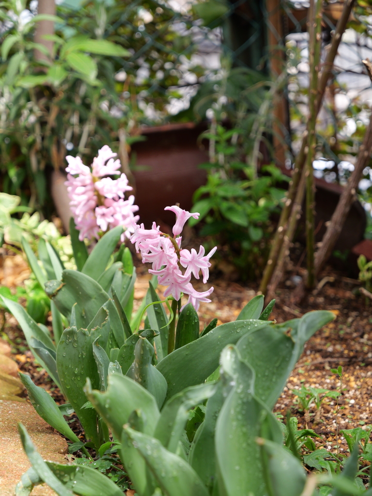 2025-03-28 12_14№(0404).JPG