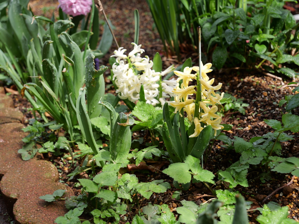 2025-03-28 12_14№(0406).JPG