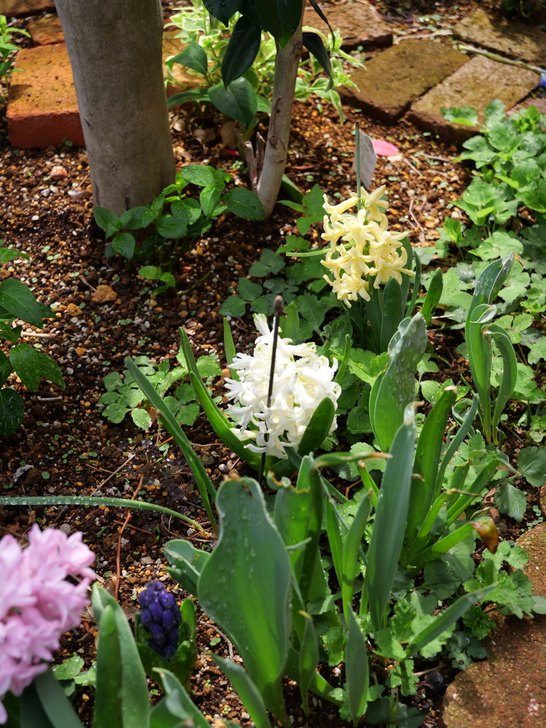 2025-03-28 12_14№(0410).JPG