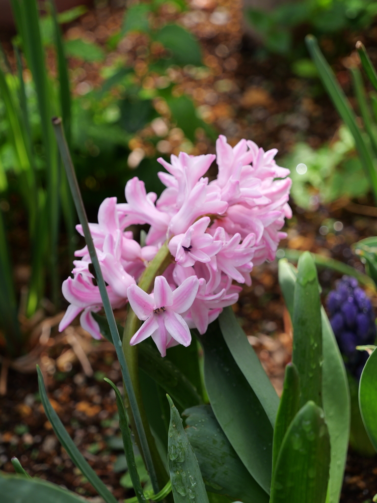 2025-03-28 12_14№(0411).JPG