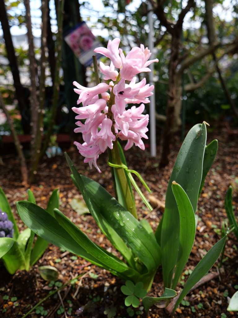2025-03-28 12_14№(0414).JPG