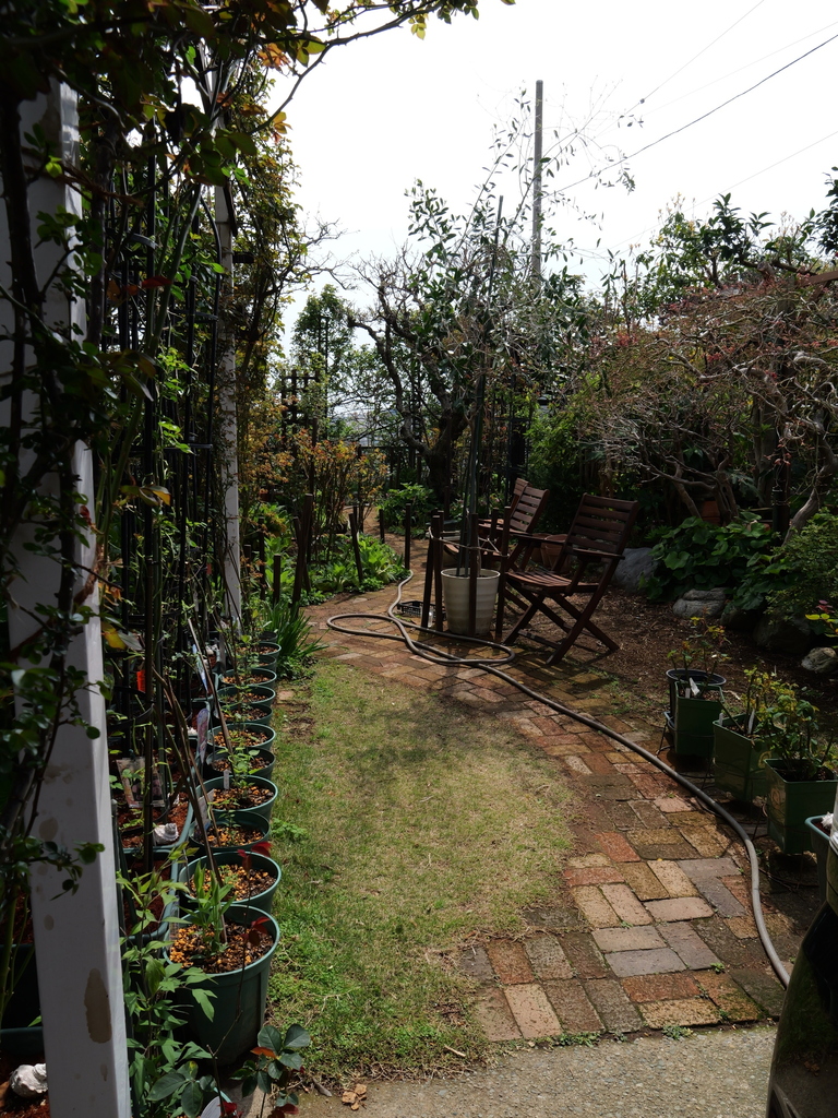 2025-03-30 10_53№(0034).JPG