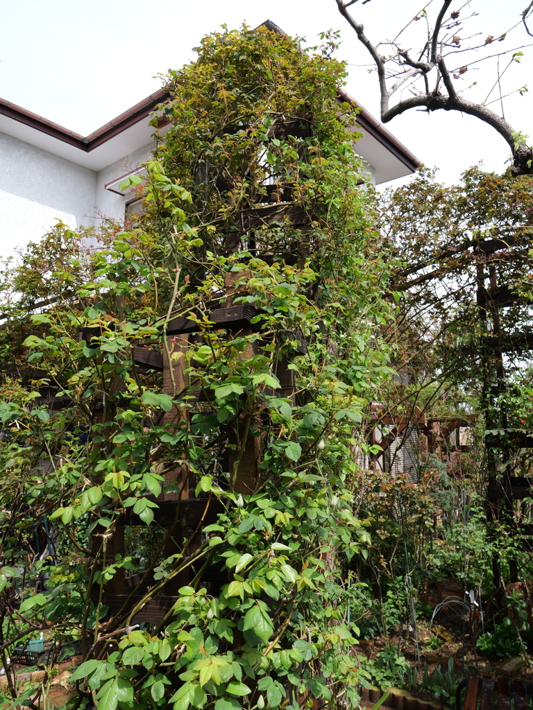 2025-03-30 10_56№(0039).JPG