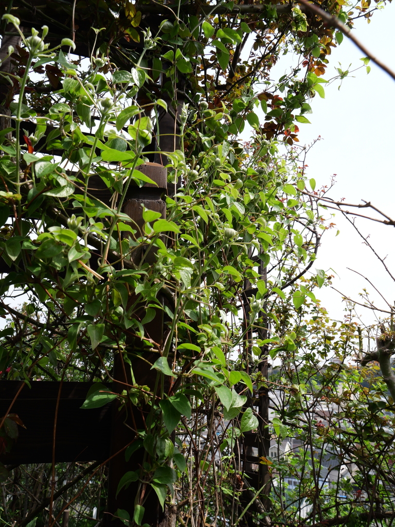 2025-03-30 10_57№(0043).JPG
