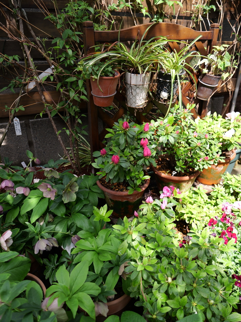 2025-03-30 11_02№(0055).JPG