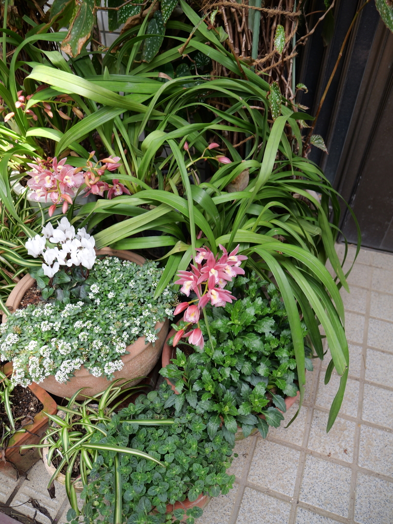 2025-03-30 11_03№(0058).JPG