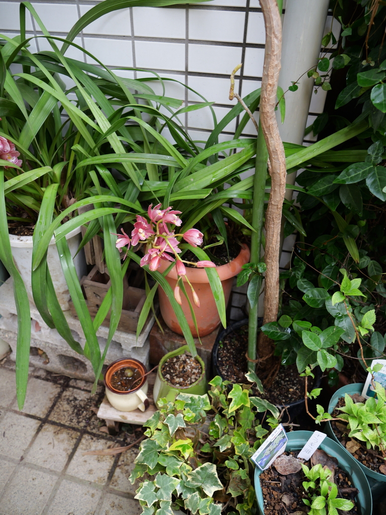 2025-03-30 11_04№(0060).JPG