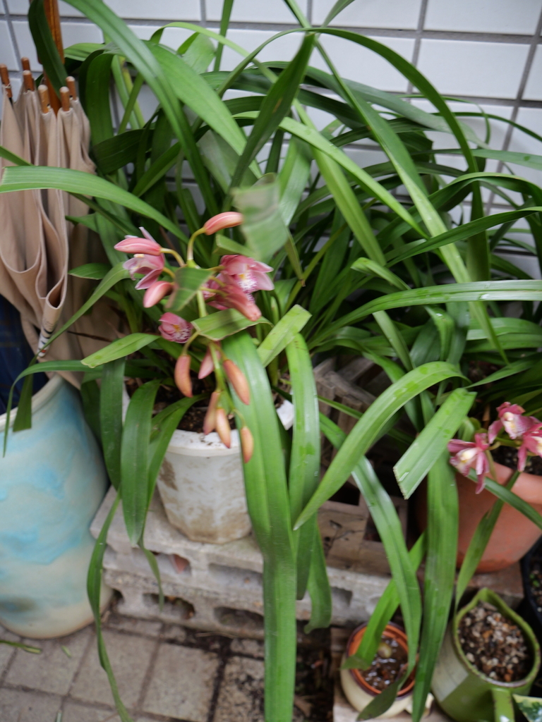 2025-03-30 11_04№(0061).JPG
