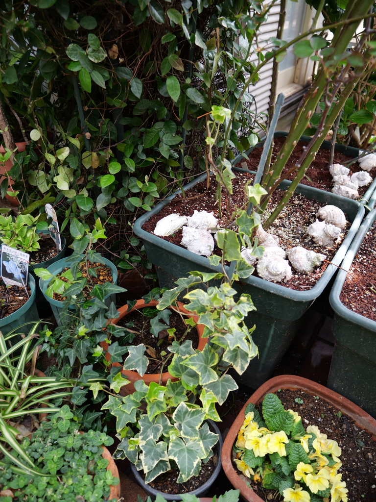 2025-03-30 11_04№(0066).JPG