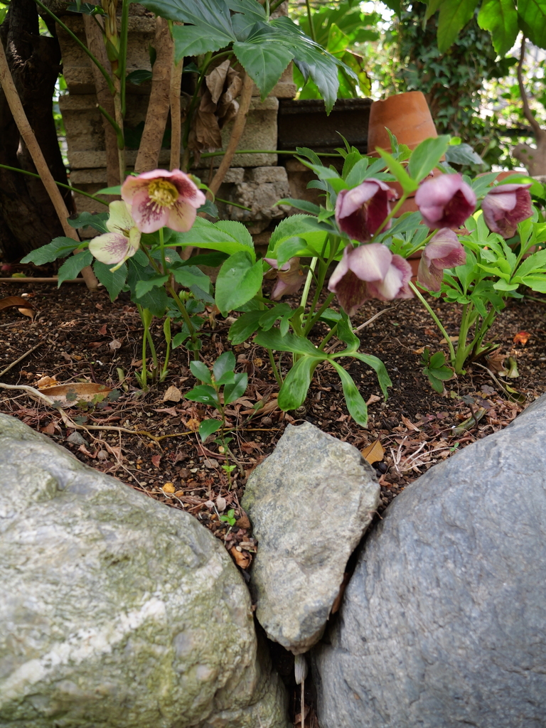2025-03-30 11_14№(0094).JPG