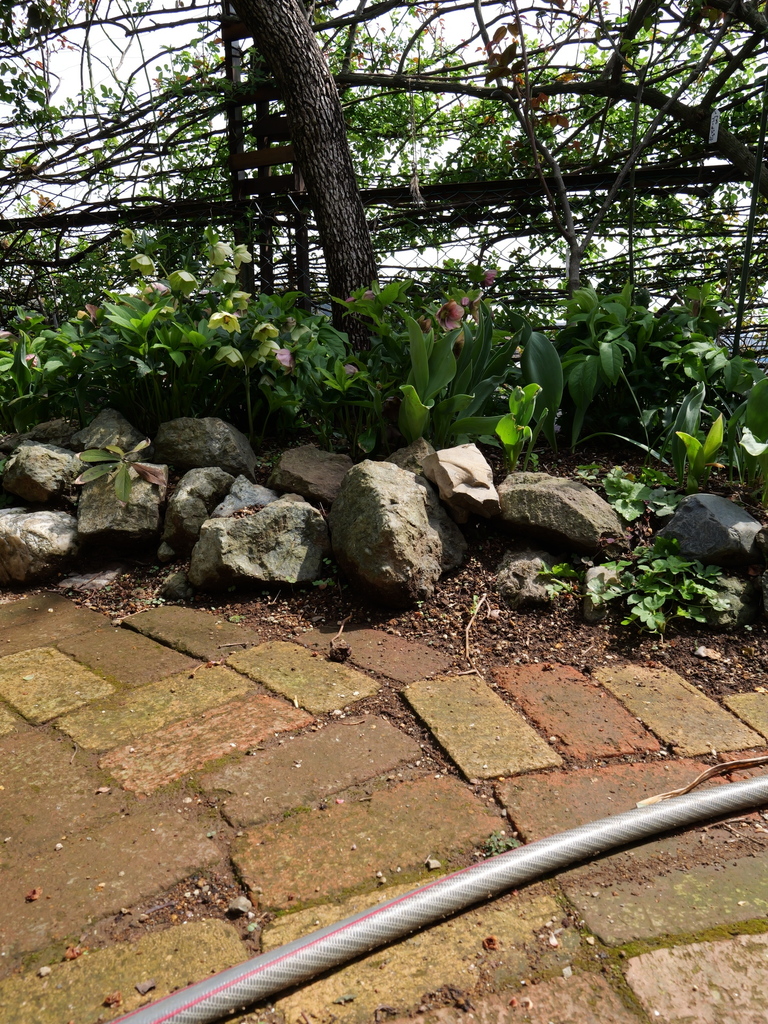 2025-03-30 11_14№(0095).JPG