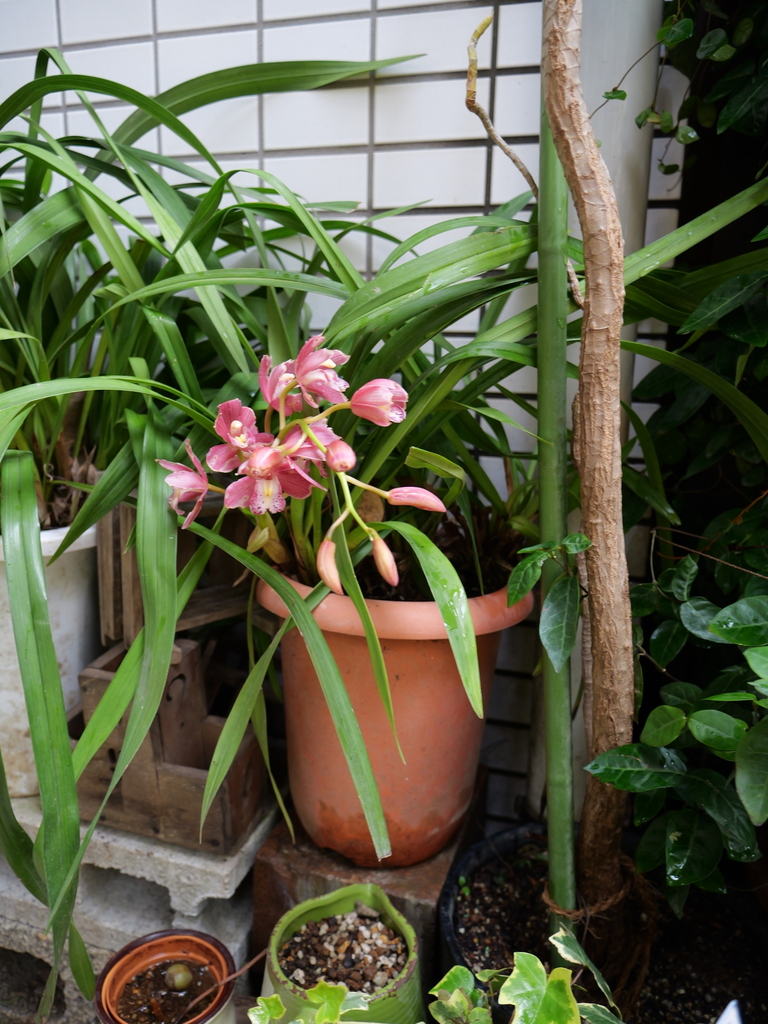 2025-03-30 11_19№(0116).JPG