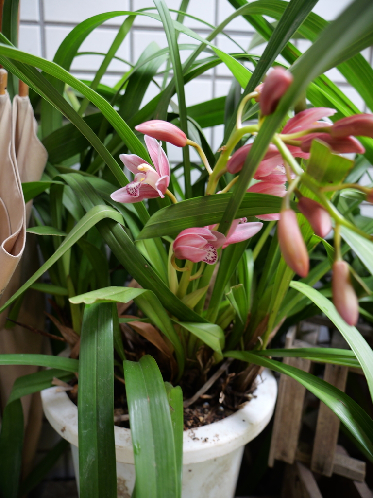 2025-03-30 11_19№(0118).JPG