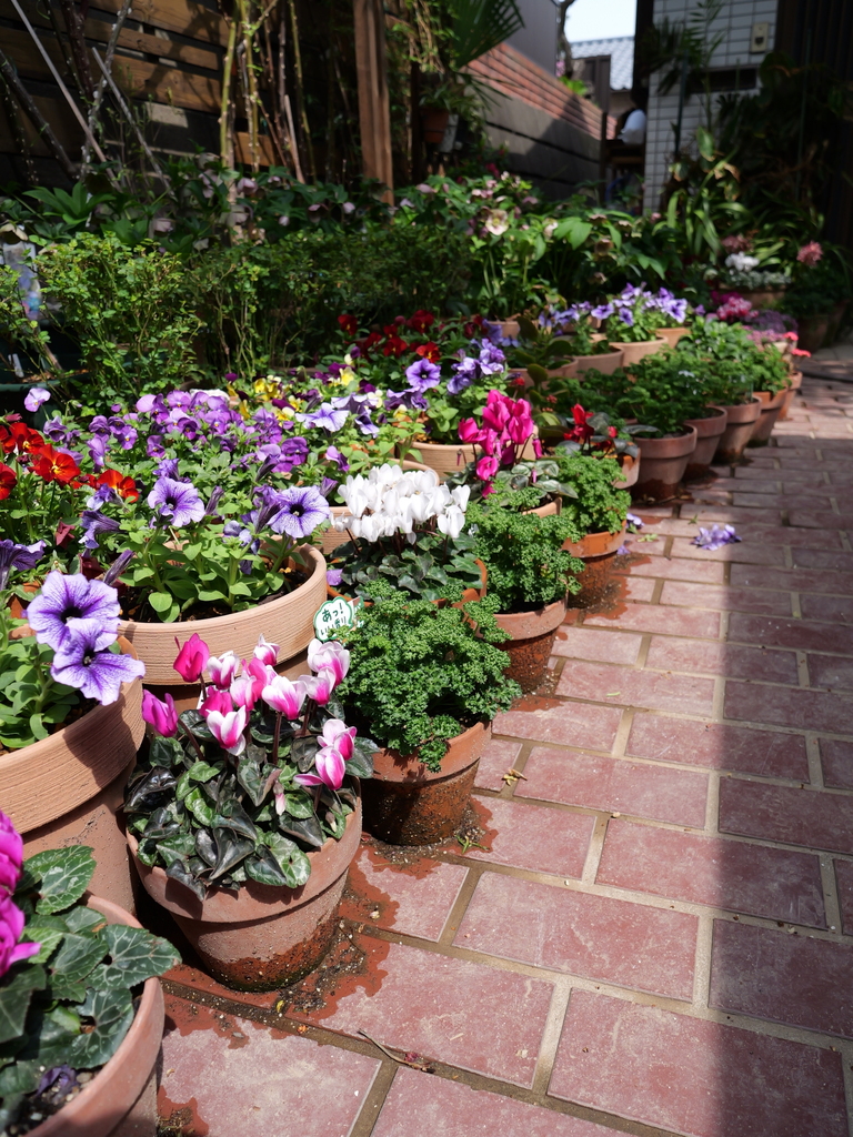 2025-03-30 11_29№(0161).JPG