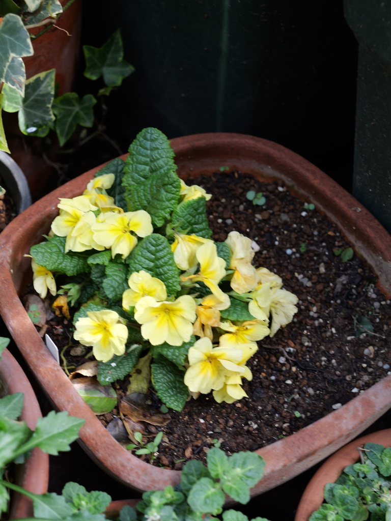 2025-03-30 11_30№(0198).JPG