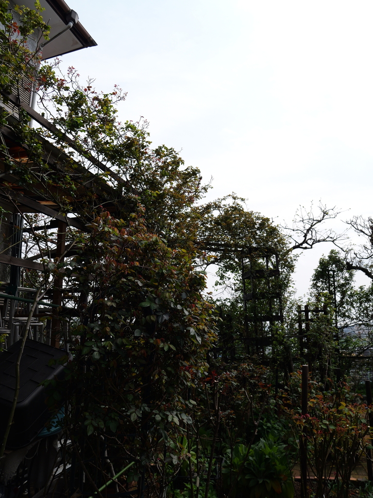 2025-03-30 11_32№(0226).JPG