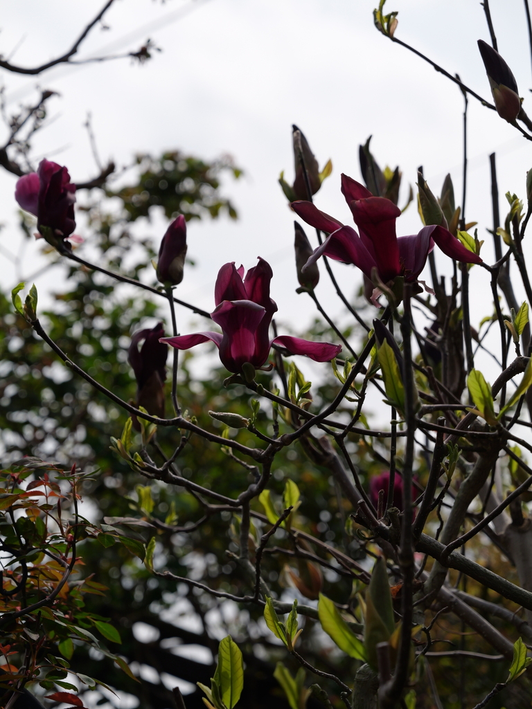 2025-03-30 11_32№(0231).JPG