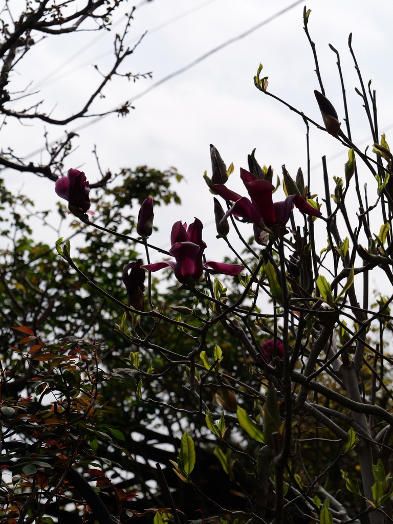 2025-03-30 11_32№(0232).JPG