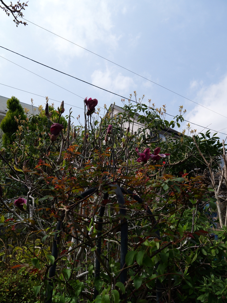 2025-03-30 11_32№(0238).JPG