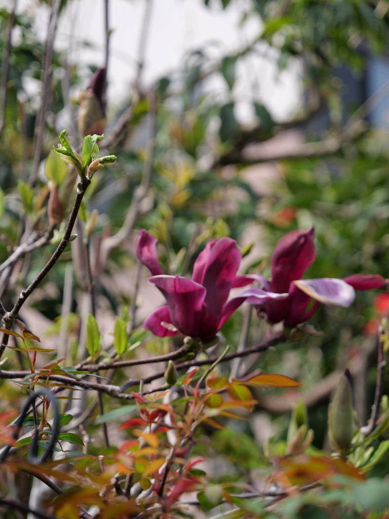 2025-03-30 11_32№(0240).JPG