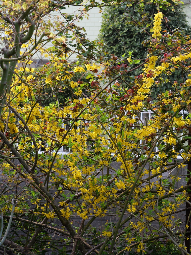 2025-03-30 11_32№(0241).JPG