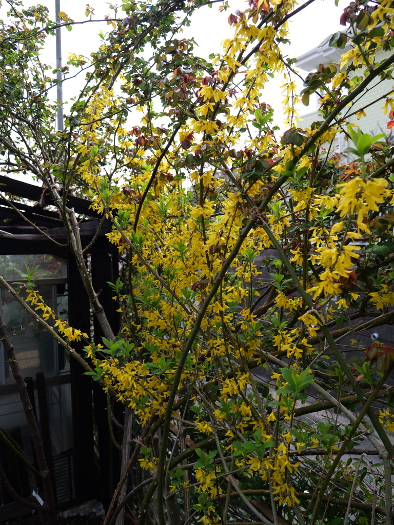 2025-03-30 11_33№(0248).JPG