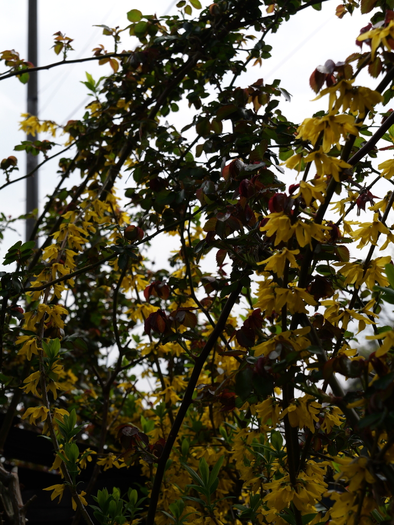 2025-03-30 11_33№(0250).JPG