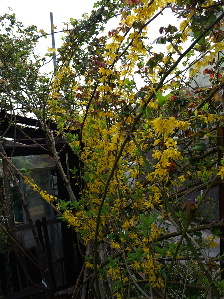 2025-03-30 11_33№(0251).JPG