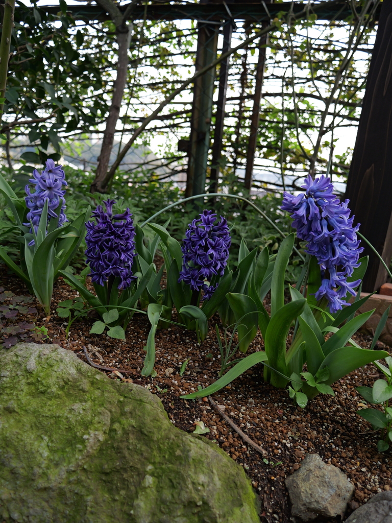 2025-03-30 11_34№(0281).JPG
