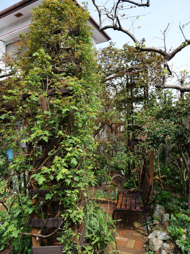 2025-03-30 11_34№(0288).JPG