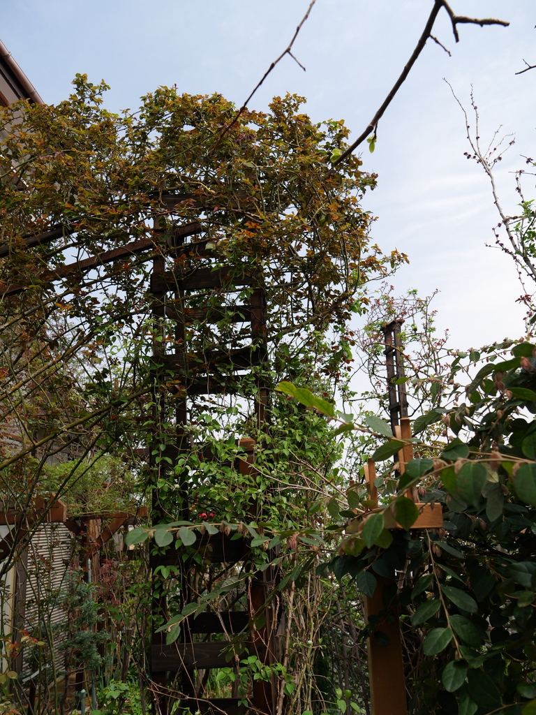 2025-03-30 11_35№(0293).JPG