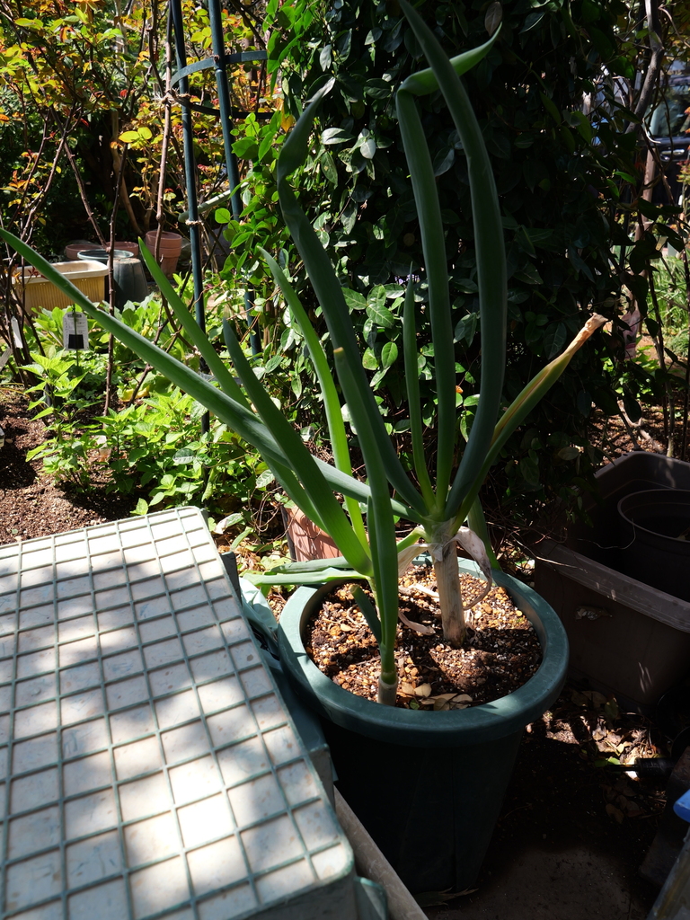 2025-04-04 11_30№(0031).JPG
