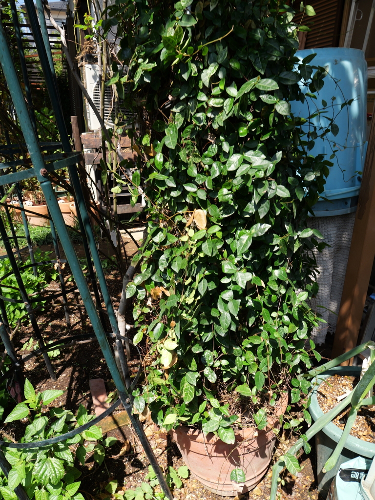 2025-04-04 11_31№(0034).JPG