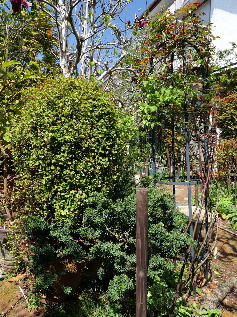 2025-04-04 11_33№(0040).JPG